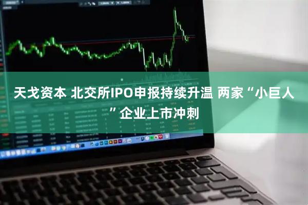 天戈资本 北交所IPO申报持续升温 两家“小巨人”企业上市冲刺