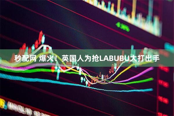秒配网 爆火！英国人为抢LABUBU大打出手