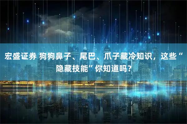 宏盛证券 狗狗鼻子、尾巴、爪子藏冷知识，这些“隐藏技能”你知道吗？