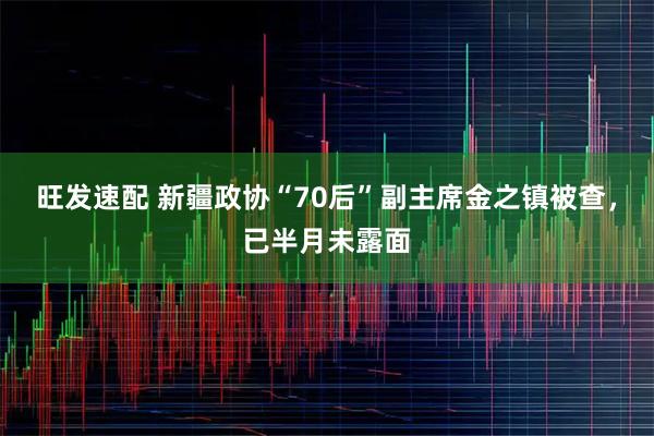 旺发速配 新疆政协“70后”副主席金之镇被查，已半月未露面